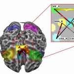 Il mondo esterno è questione di cervello