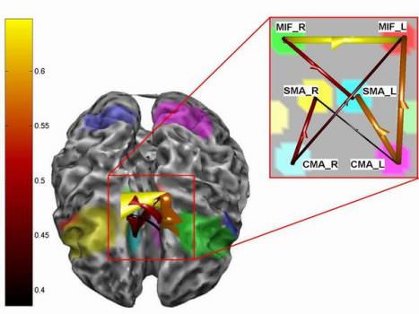 Il mondo esterno è questione di cervello