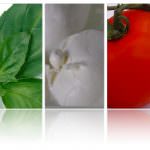 Assegnati i "Cibus International Export Award 2010"