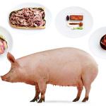 Nuova influenza, con la psicosi a rischio 5 mila stalle