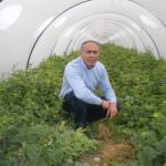 Nuovi sbocchi commerciali per il melone rosso IGP di Pachino