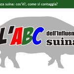 Domande e risposte sull'influenza suina