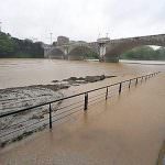 Alessandria: Esondazione dei fiumi Tanaro e Bormida - Ingenti i danni all'agricoltura