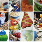 Dioxinas en alimentos y piensos