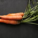 Carote, stimolo della fertilità maschile