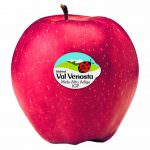 Mela Stark Delicious Val Venosta: Saporita, profumata, ma anche naturale