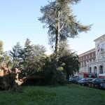 Crollo Scuola Darwin: inchiesta verso la fine