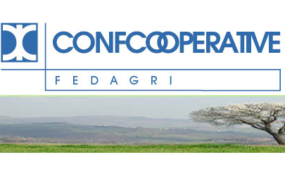 Ortofrutta, Fedagri: “In aumento le esportazioni”