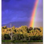 Arriva la Menopausa? Sorridi!