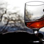 Veneto: Assaggiatori di Vino: "Il vino è un elemento culturale, che fa parte di una filosofia di vita"