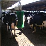 Cia Marche: un'alleanza tra aziende agricole e ricerca per combattere la crisi