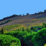 Umbria: Agricoltura - Smaltimento dei rifiuti agricoli e acquisto di compost di qualità a prezzi scontati