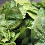 La vitamina K2 riduce il rischio di cancro