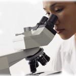 Il CNR ospita il G8 degli Enti di Ricerca 2009