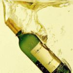 Pignoletto: un vino di territorio?