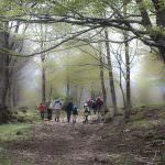 Rimini: Ambiente - Tutte le iniziative promosse dai "Centri d'educazione ambientale"