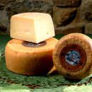 «Il formaggio toscano: dalla pecora alla tavola, salute, gusto, ambiente»