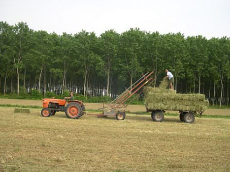 Le Organizzazioni di Produttori alla base della tenuta della Pac