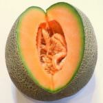 Il Melone Mantovano - Convegno Nazionale