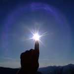 Coldiretti: "pochi funghi ma tanta uva bella"