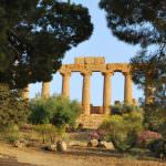 Conclusione ad effetto per la tre giorni dedicata alle eccellenze agroalimentari