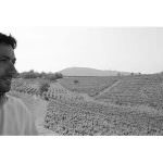 Svolta al Consorzio Tutela Vini Oltrepò Pavese