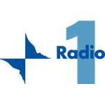 RAI: informazioni carenti a Radio RAI 1