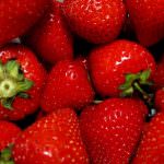 Coldiretti Ferrara: fragole è allarme reddito