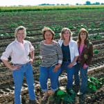 Siamo tutti nati in cucina