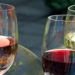 Colli del Tronto (AP): Congresso Assoenologi - "Il settore vitivinicolo cambia. Capire come evolve per essere pronti a vincere le sfide"