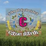 Partinico Km 316,1 Palermo-Alcamo Nuovo Agriturismo Case Ilardi