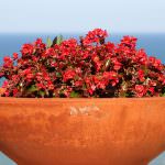 Caltagirone (CT): Legambiente - "Compost day: meno rifiuti in città, più qualità in campagna"