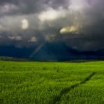 Confagricoltura: il maltempo colpisce l'Abruzzo