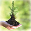 Agroalimentare, Petrini: “La questione della sostenibilità diventerà una delle cartine di tornasole della virtuosità”