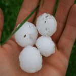 Maltempo: la grandine distrugge i raccolti, ma il Fondo per le calamità naturali resta ancora senza finanziamenti