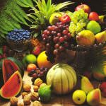 Frutta e verdure "made in Italy" sono sicure e di grande qualità