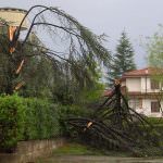 Caro Presidente Berlusconi