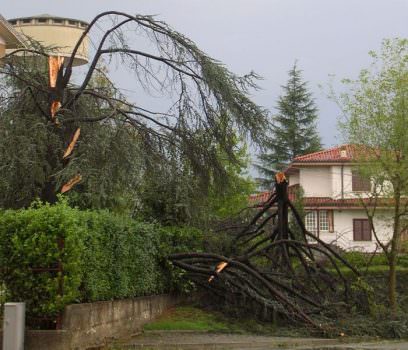 Caro Presidente Berlusconi