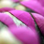 Crisi, CEI: salgono diseguaglianze