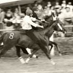 Palio 2009: accordo sulla commissione veterinaria