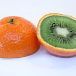 Zaia chiede una precisa posizione della Chiesa prima di decidere sugli Ogm