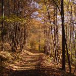 Agricoltura: Educare i giovani all'importanza della biodiversità