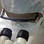 Influenza suina, arriva il primo morto in Europa