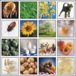 Allergy Day: sono più di 120 mila i piemontesi allergici