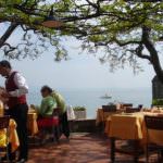 Un Lago diVino: un progetto di filiera per i vini del Trasimeno