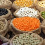 Roberto Burdese, Presidente di Slow Food "I legumi, cibo del futuro"