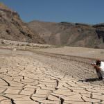 Desertificazione, Legambiente: "Minaccia reale per le nostre regioni del Sud"