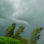 Venezia: Agricoltura - La Giunta veneta richiede la dichiarazione di eccezionale avversità atmosferica