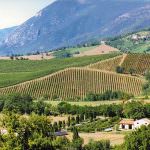 "Expo 2015: al Centro del Paesaggio Agrario. Un contributo AIAPP per Expo 2015"