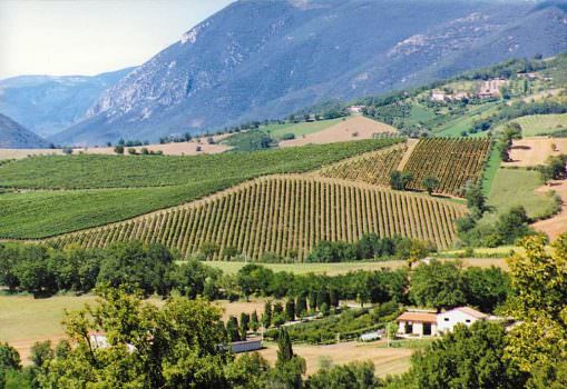 “Expo 2015: al Centro del Paesaggio Agrario. Un contributo AIAPP per Expo 2015”